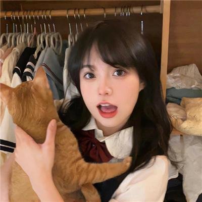 野良猫洛克:女番长